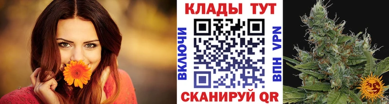 Купить закладку Гаврилов Посад ГАШ Alpha-PVP Галлюциногенные грибы МАРИХУАНА COCAIN Меф мяу мяу
