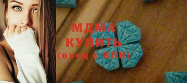 хмурый Алексин