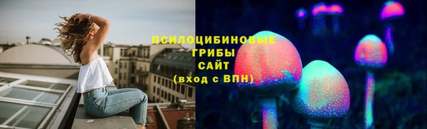 прущие крисы Алексеевка
