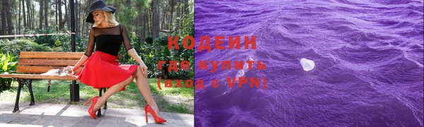 хмурый Алексин